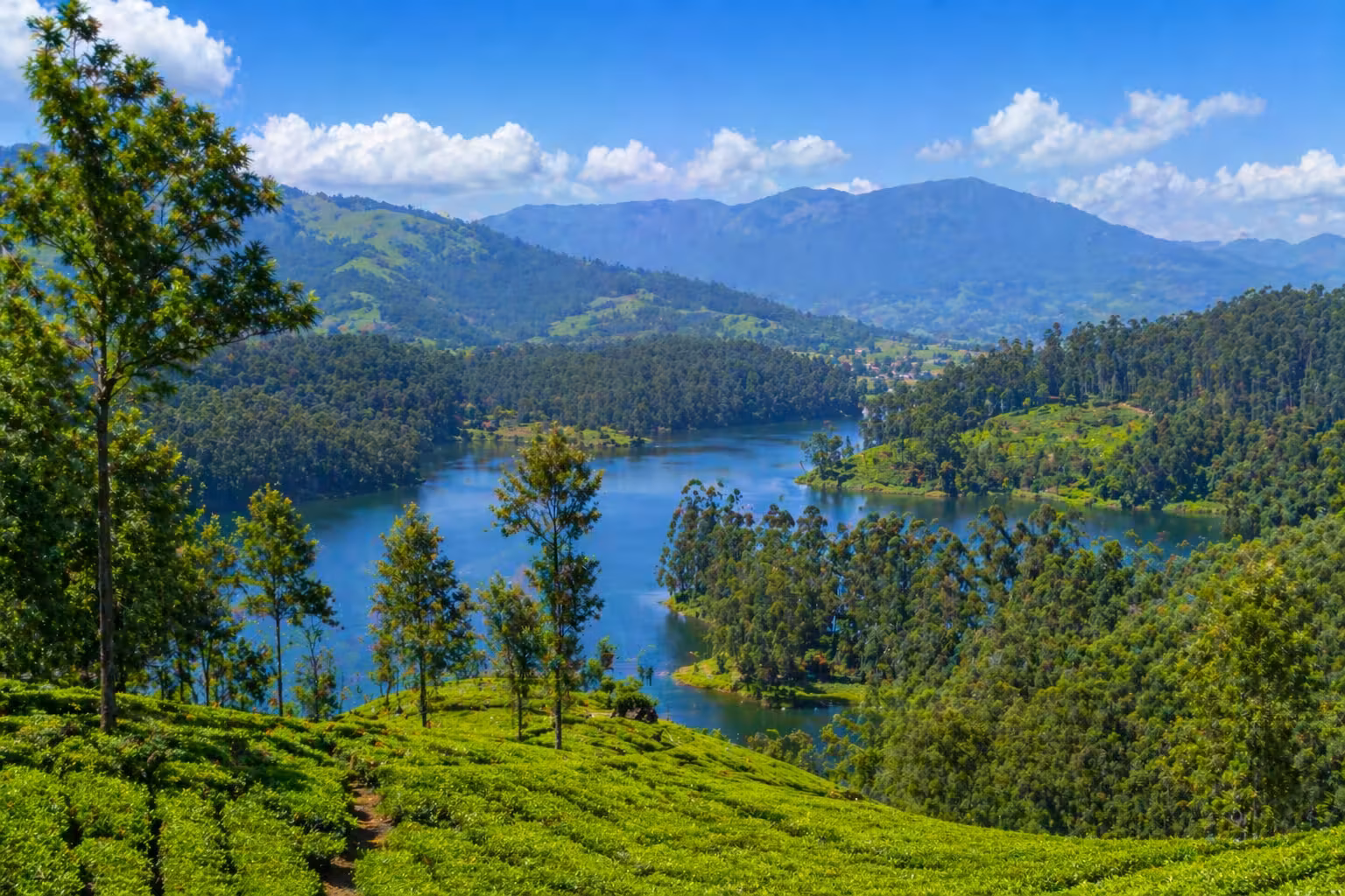 Ooty one way taxi destination